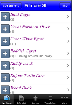 list bou.png